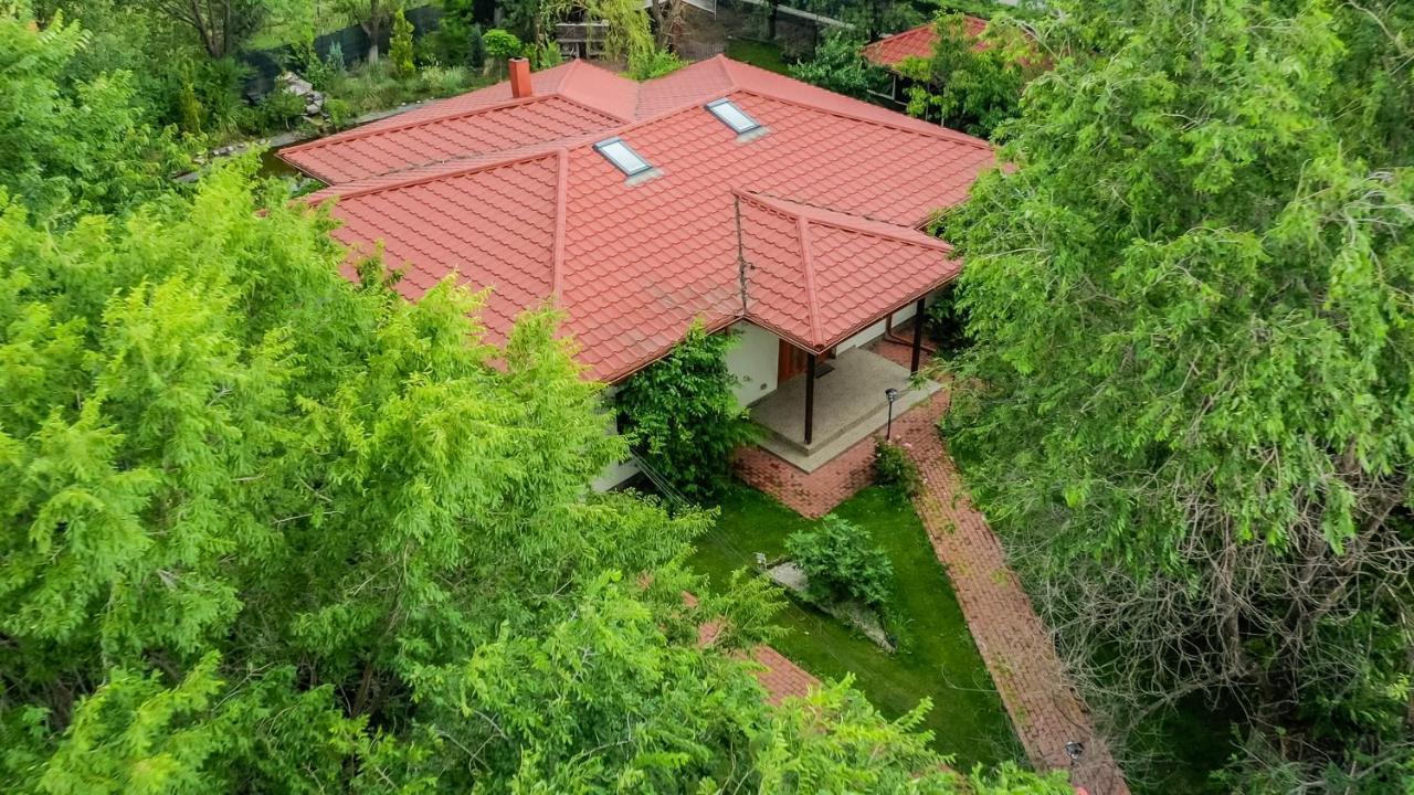 Casa Arcadia 1 Piscina,Jacuzzi, Sauna Buzău Exterior foto