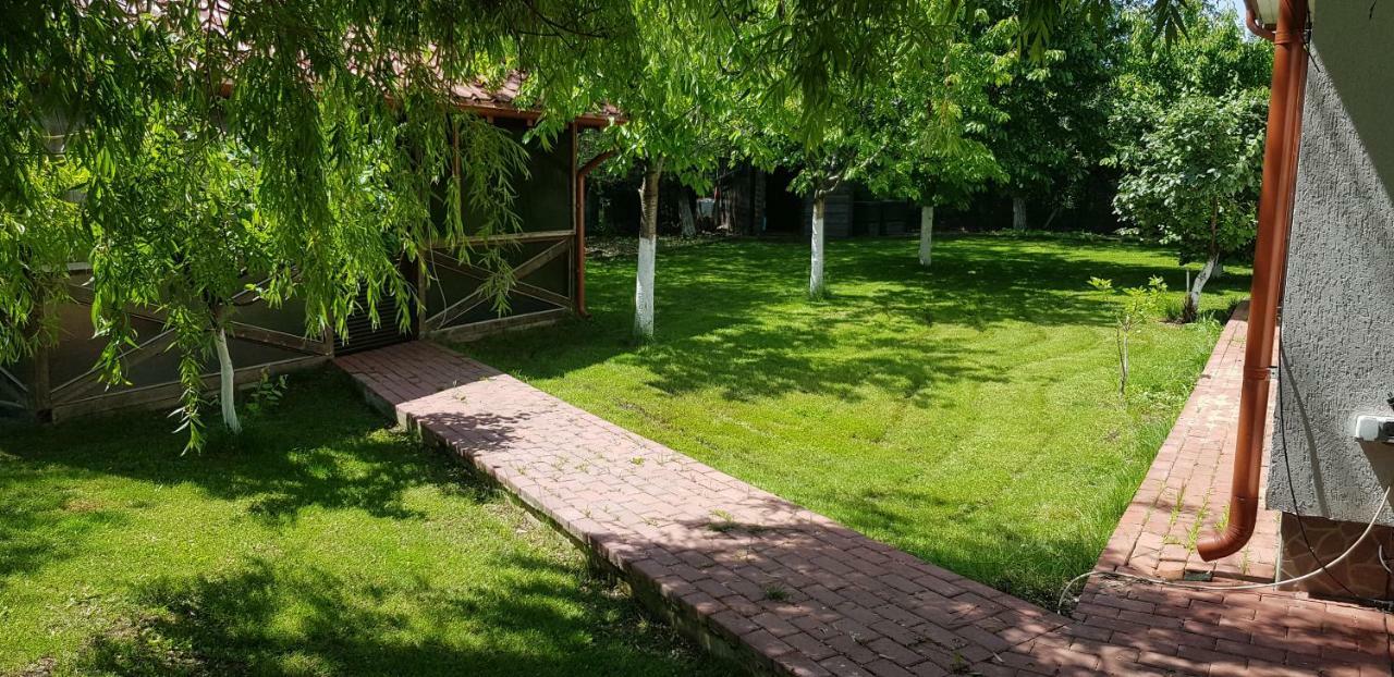 Casa Arcadia 1 Piscina,Jacuzzi, Sauna Buzău Exterior foto
